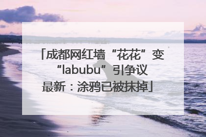成都网红墙“花花”变“labubu”引争议 最新：涂鸦已被抹掉