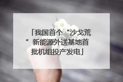 我国首个“沙戈荒”新能源外送基地首批机组投产发电
