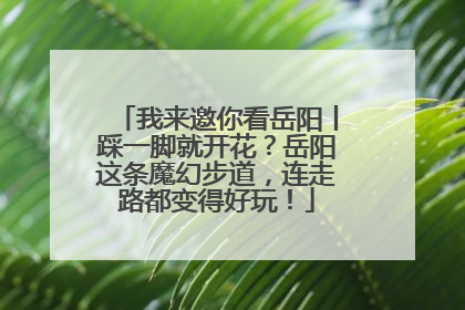 我来邀你看岳阳丨踩一脚就开花？岳阳这条魔幻步道，连走路都变得好玩！