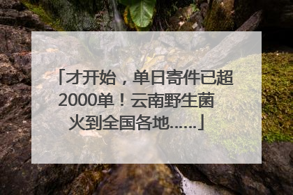 才开始，单日寄件已超2000单！云南野生菌火到全国各地……