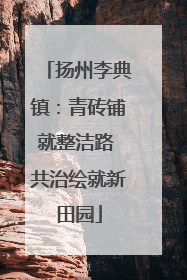 扬州李典镇：青砖铺就整洁路 共治绘就新田园