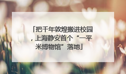 把千年敦煌搬进校园，上海静安首个“一平米博物馆”落地