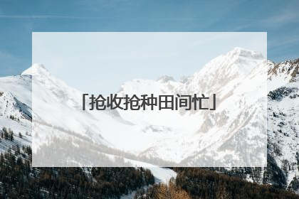 抢收抢种田间忙