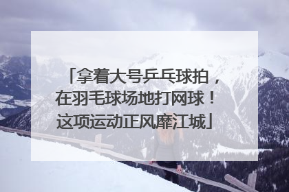 拿着大号乒乓球拍，在羽毛球场地打网球！这项运动正风靡江城