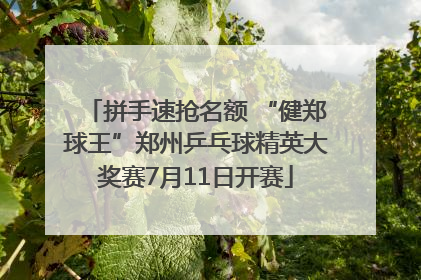 拼手速抢名额 “健郑球王”郑州乒乓球精英大奖赛7月11日开赛