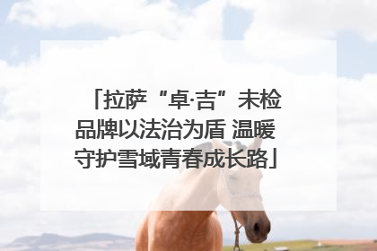 拉萨“卓·吉”未检品牌以法治为盾 温暖守护雪域青春成长路