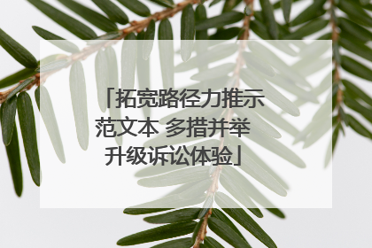 拓宽路径力推示范文本 多措并举升级诉讼体验