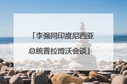 李强同印度尼西亚总统普拉博沃会谈