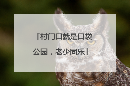 村门口就是口袋公园，老少同乐