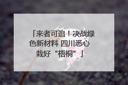 来者可追！决战绿色新材料 四川悉心栽好“梧桐”