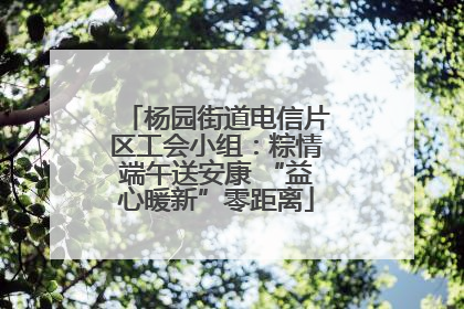 杨园街道电信片区工会小组：粽情端午送安康 “益心暖新”零距离
