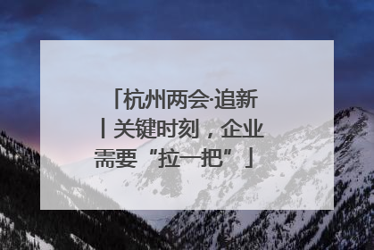 杭州两会·追新丨关键时刻，企业需要“拉一把”
