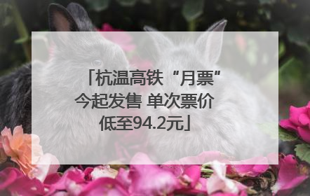 杭温高铁“月票”今起发售 单次票价低至94.2元