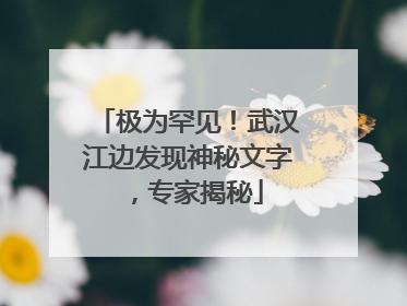 极为罕见！武汉江边发现神秘文字，专家揭秘