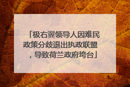 极右翼领导人因难民政策分歧退出执政联盟，导致荷兰政府垮台