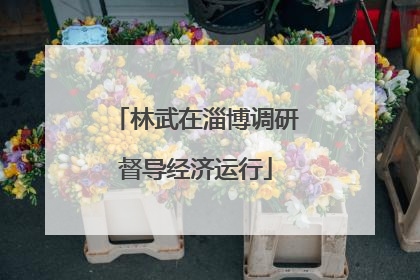 林武在淄博调研督导经济运行