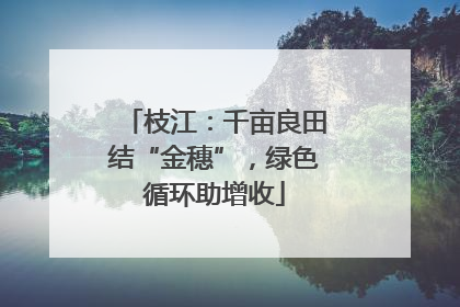 枝江：千亩良田结“金穗”，绿色循环助增收