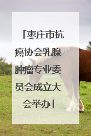 枣庄市抗癌协会乳腺肿瘤专业委员会成立大会举办