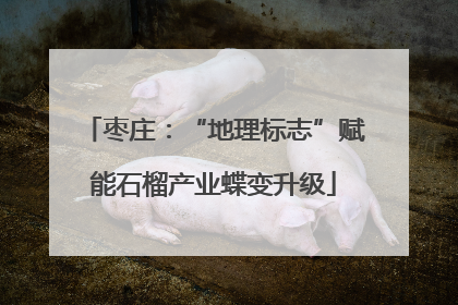 枣庄：“地理标志”赋能石榴产业蝶变升级