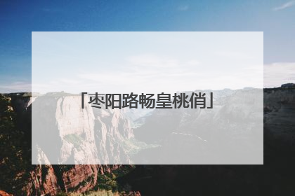 枣阳路畅皇桃俏