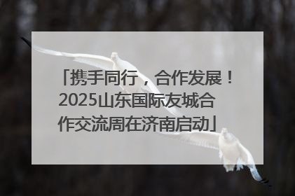 携手同行，合作发展！2025山东国际友城合作交流周在济南启动