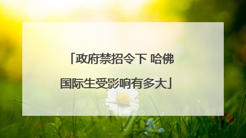 政府禁招令下 哈佛国际生受影响有多大