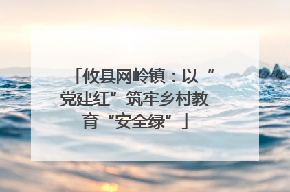 攸县网岭镇：以“党建红”筑牢乡村教育“安全绿”