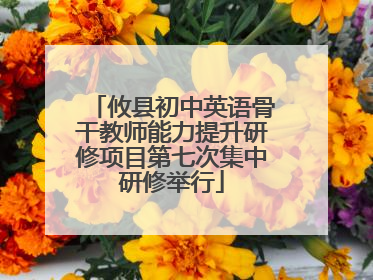 攸县初中英语骨干教师能力提升研修项目第七次集中研修举行
