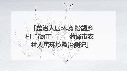 整治人居环境 扮靓乡村“颜值”——菏泽市农村人居环境整治侧记