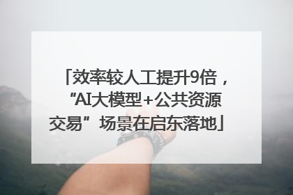 效率较人工提升9倍，“AI大模型+公共资源交易”场景在启东落地