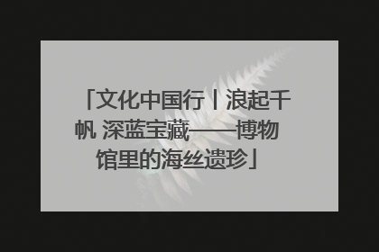 文化中国行丨浪起千帆 深蓝宝藏——博物馆里的海丝遗珍