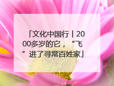 文化中国行丨2000多岁的它，“飞”进了寻常百姓家