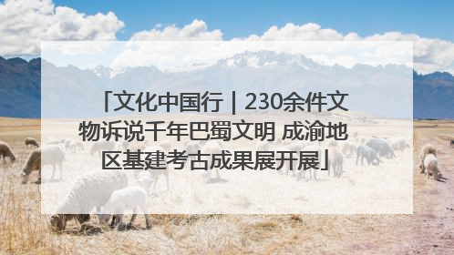 文化中国行｜230余件文物诉说千年巴蜀文明 成渝地区基建考古成果展开展