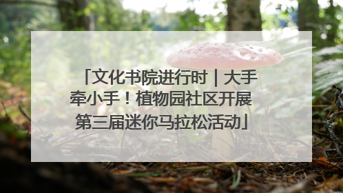 文化书院进行时｜大手牵小手！植物园社区开展第三届迷你马拉松活动