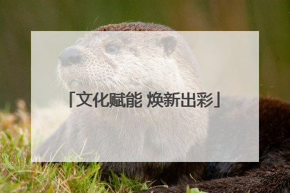 文化赋能 焕新出彩