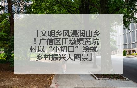 文明乡风浸润山乡！广信区田墩镇黄坑村以“小切口”绘就乡村振兴大图景