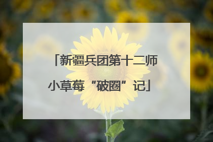 新疆兵团第十二师小草莓“破圈”记