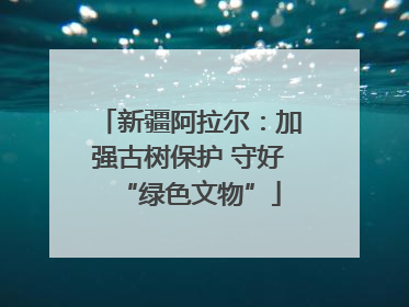 新疆阿拉尔：加强古树保护 守好“绿色文物”