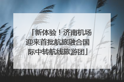 新体验！济南机场迎来首批航旅融合国际中转航线旅游团