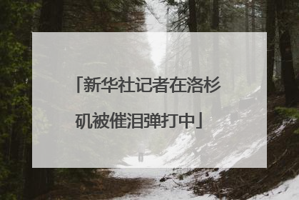 新华社记者在洛杉矶被催泪弹打中