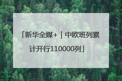 新华全媒+｜中欧班列累计开行110000列