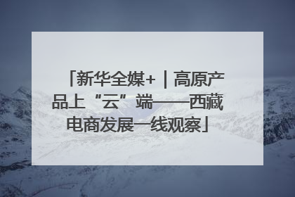 新华全媒+｜高原产品上“云”端——西藏电商发展一线观察
