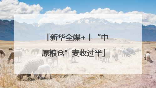 新华全媒+丨“中原粮仓”麦收过半