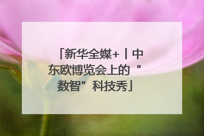 新华全媒+丨中东欧博览会上的“数智”科技秀