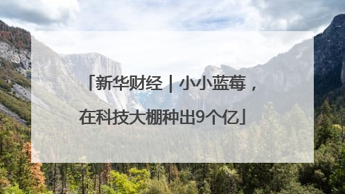 新华财经｜小小蓝莓，在科技大棚种出9个亿