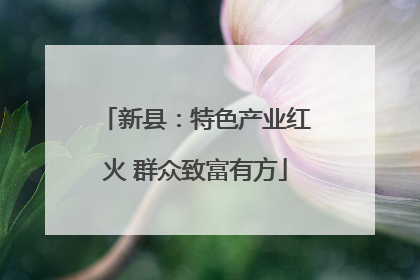 新县：特色产业红火 群众致富有方
