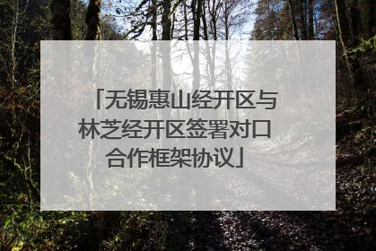 无锡惠山经开区与林芝经开区签署对口合作框架协议