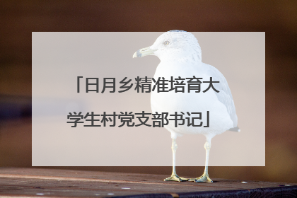 日月乡精准培育大学生村党支部书记