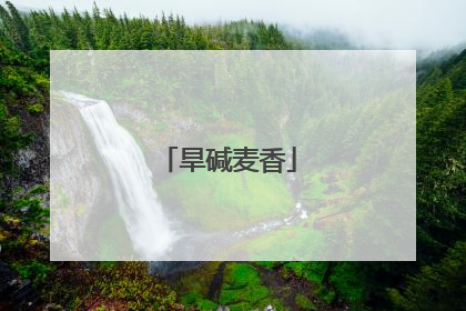旱碱麦香