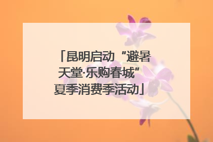 昆明启动“避暑天堂·乐购春城”夏季消费季活动